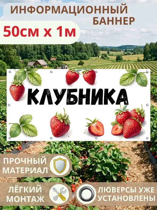 Баннер вывеска рекламная Клубника
