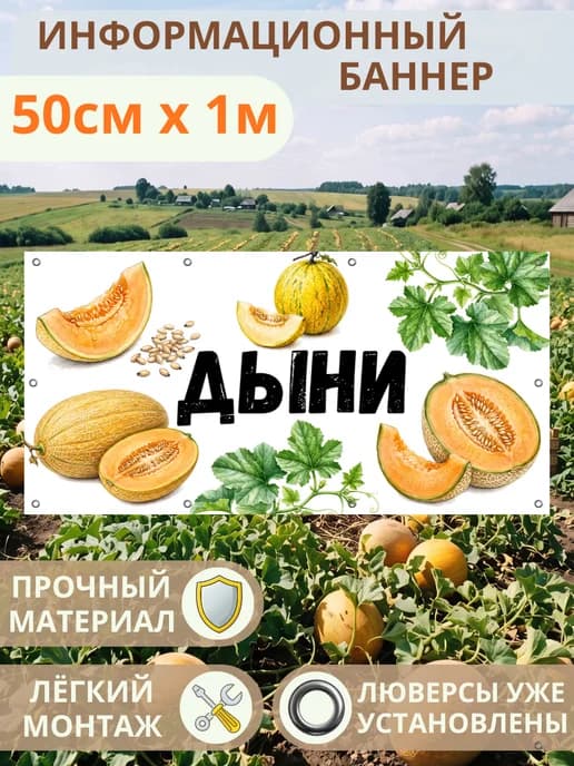 Баннер вывеска рекламная Дыни