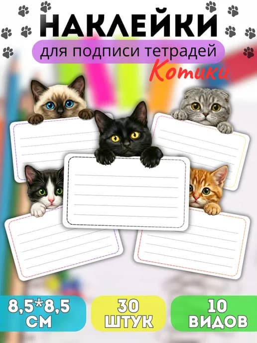 Наклейки для подписи тетрадей