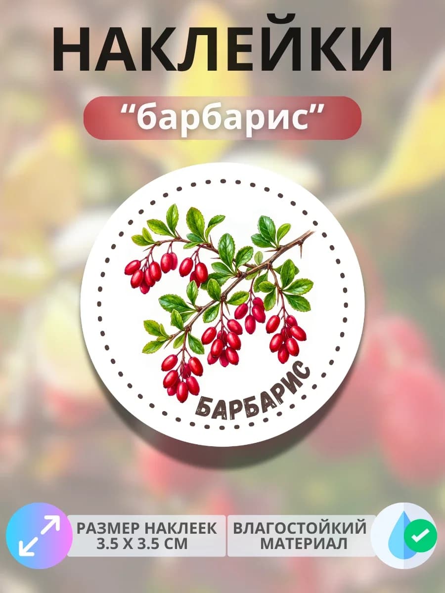 Наклейки маркеры Барбарис
