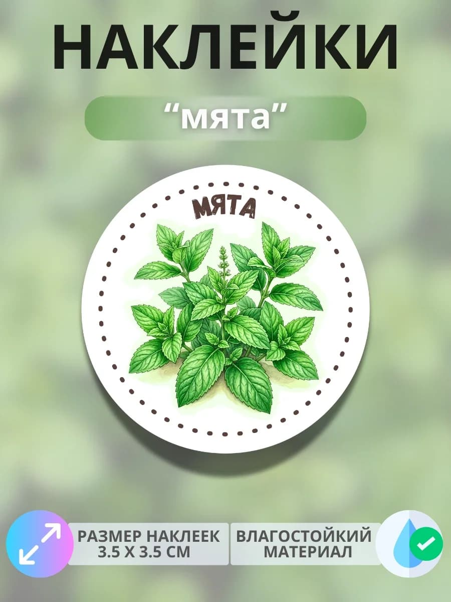 Наклейки маркеры Мята