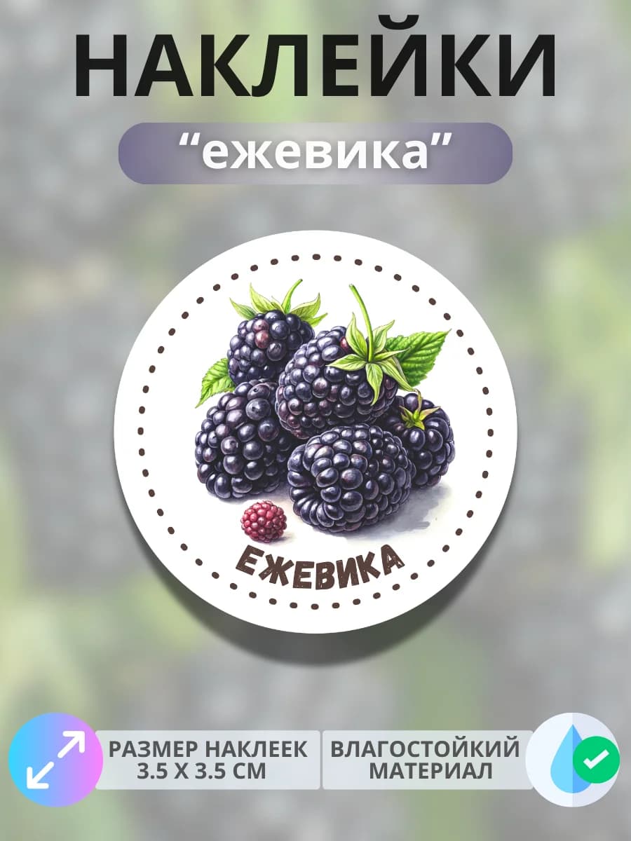 Наклейки маркеры Ежевика
