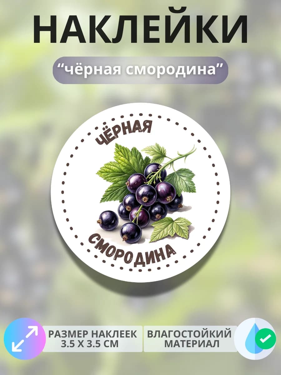 Наклейки маркеры Чёрная смородина