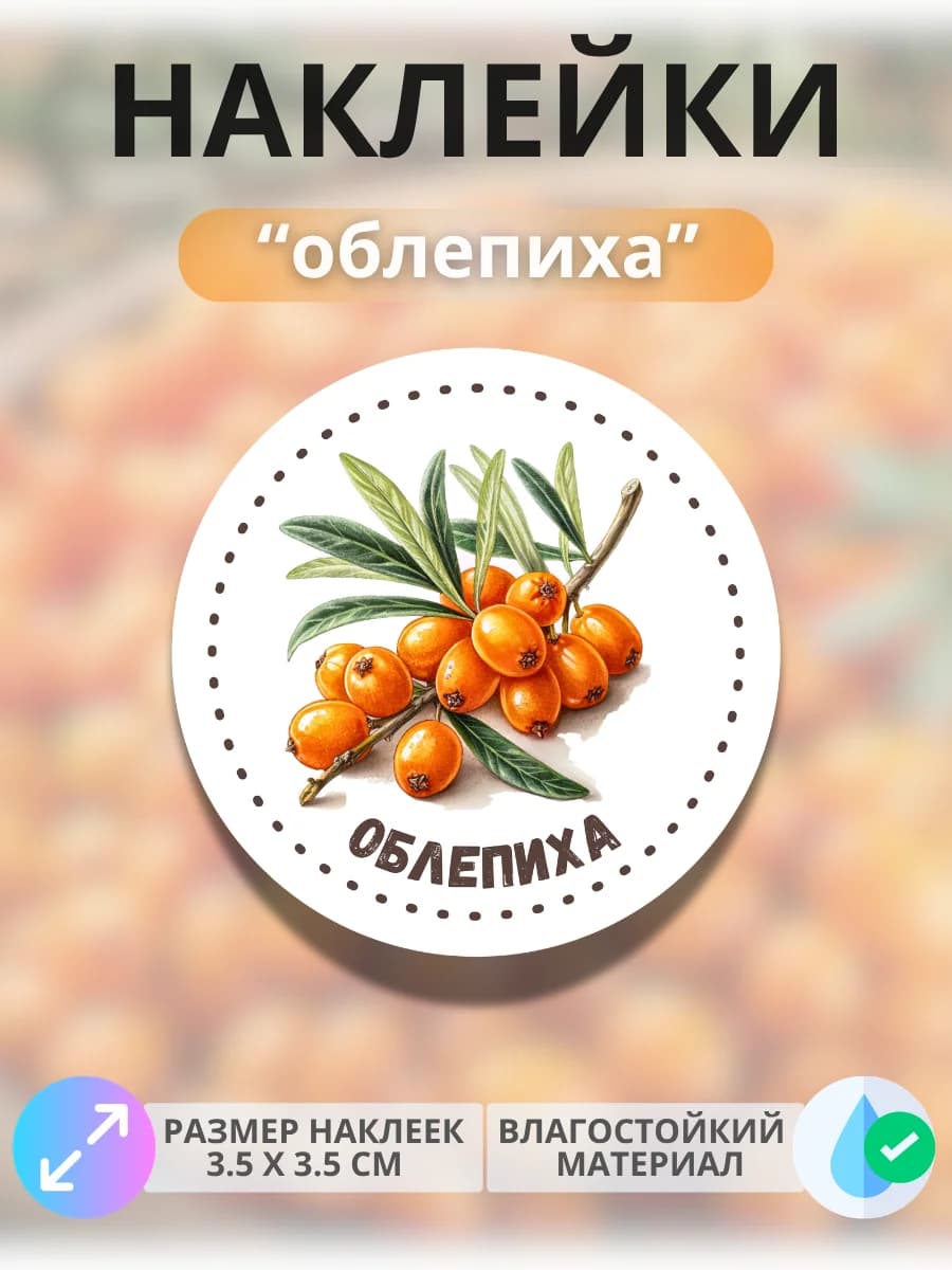Наклейки маркеры Облепиха