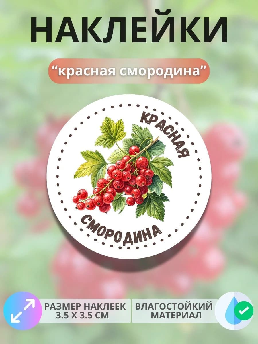 Наклейки маркеры Красная смородина