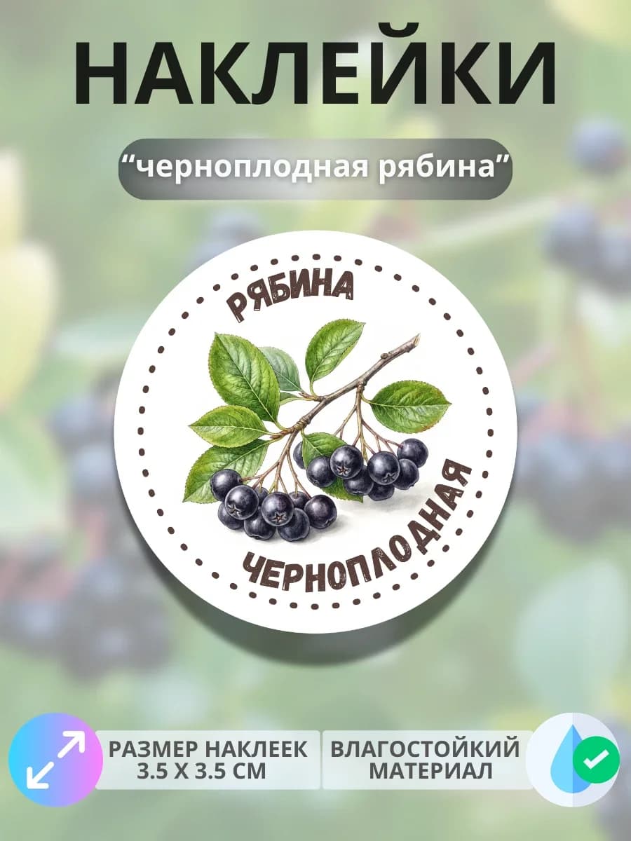 Наклейки маркеры Черноплодная рябина