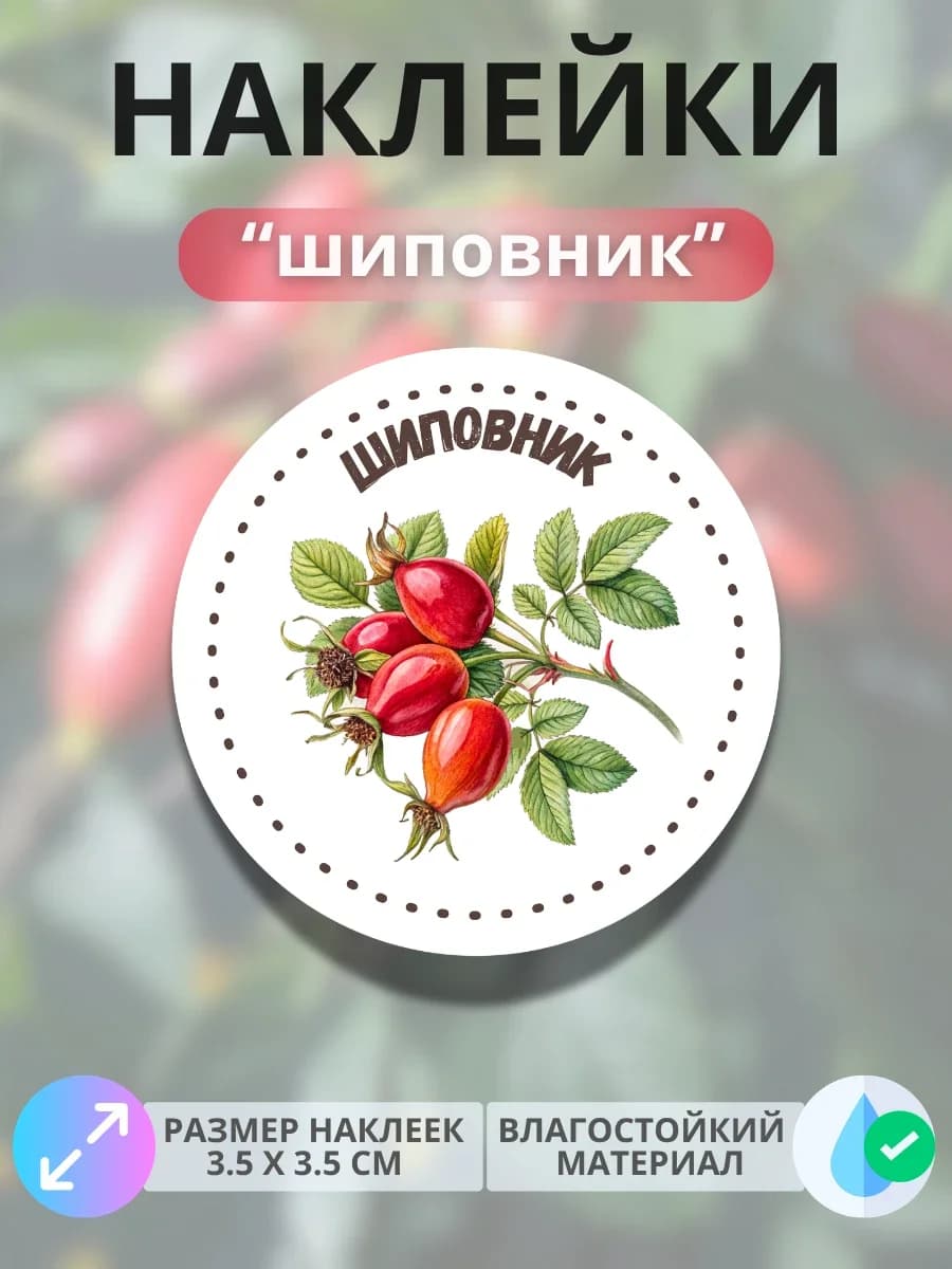 Наклейки маркеры Шиповник