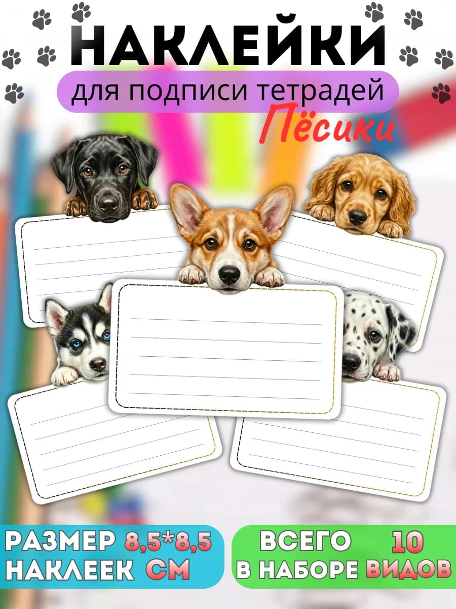 Наклейки для подписи тетрадей