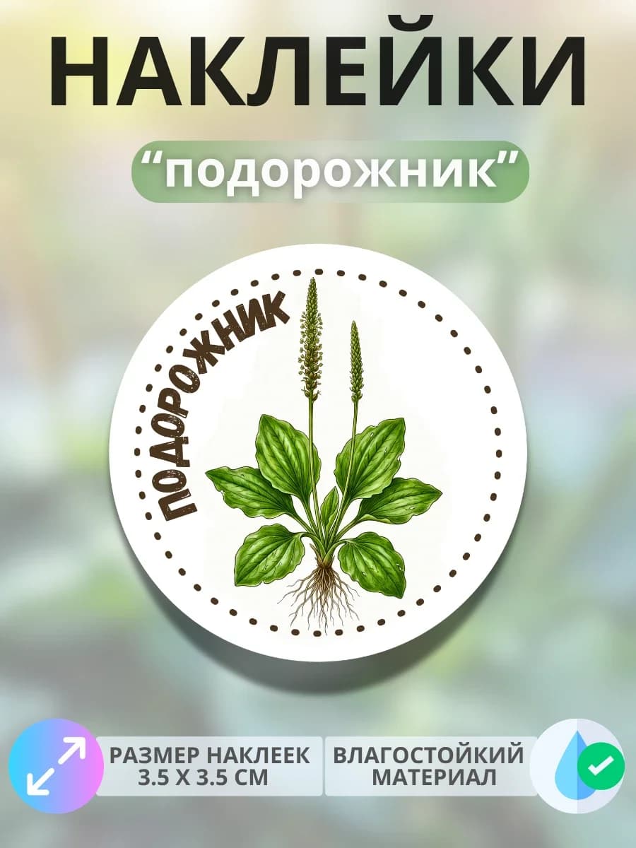 Наклейки маркеры Подорожник