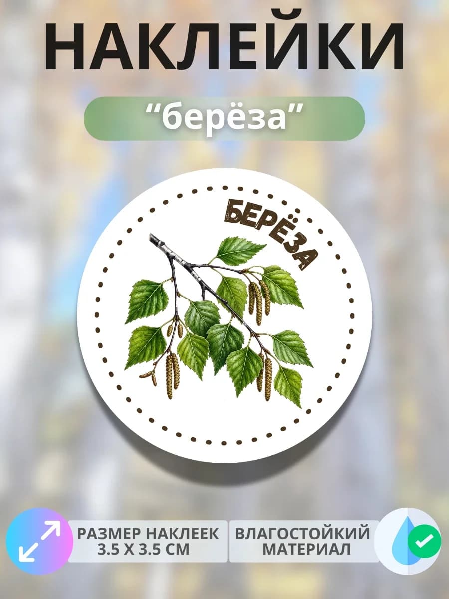 Наклейки «Берёза»