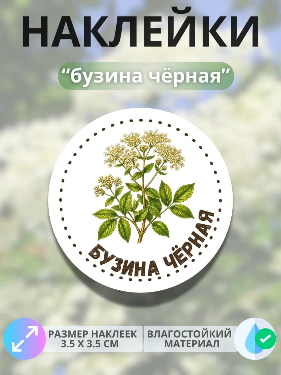 Наклейки «Бузина чёрная»