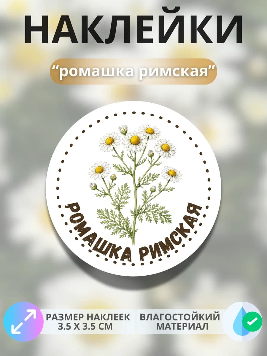 Наклейки «Ромашка римская»
